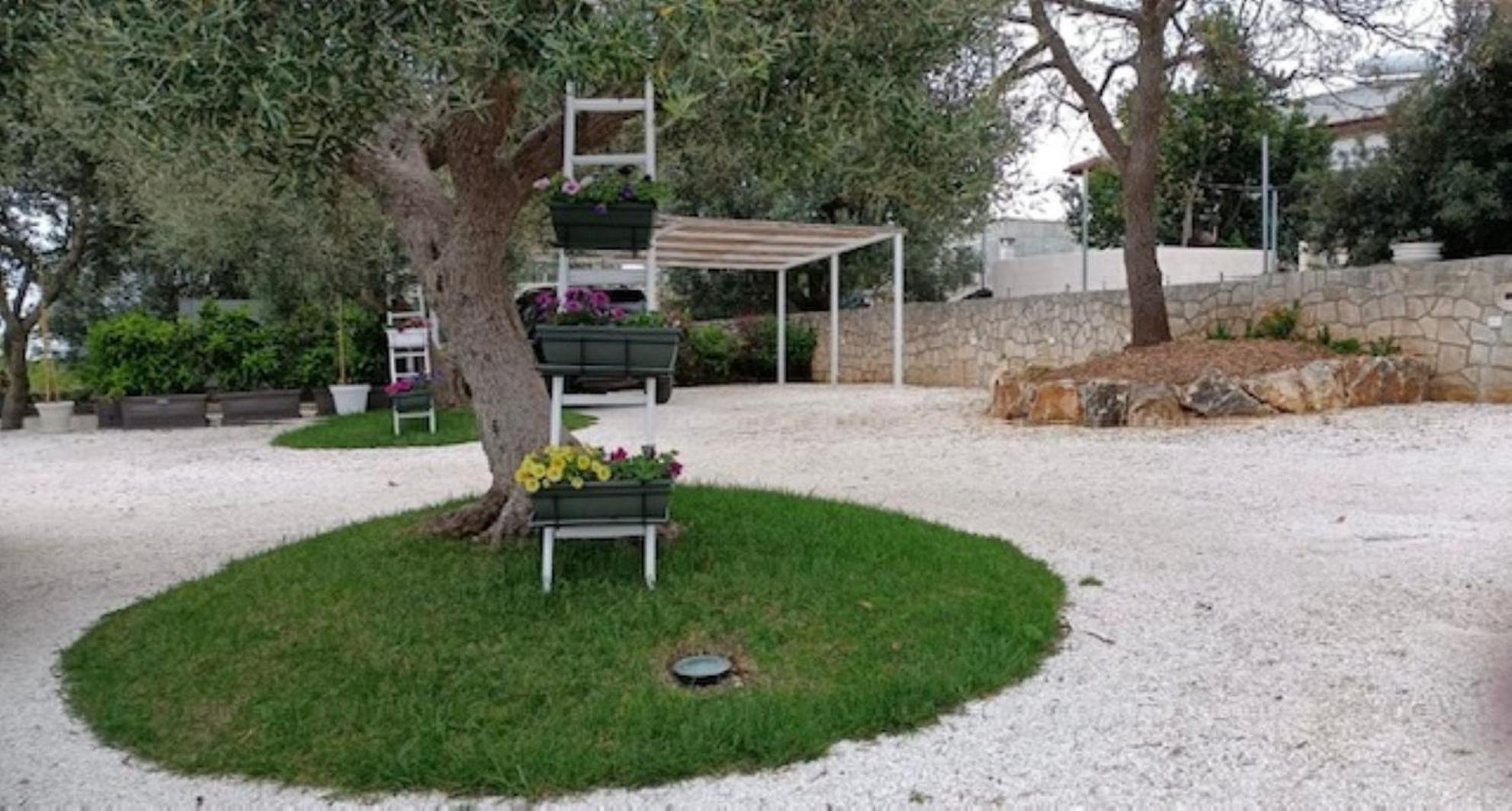 Casa Vacanze 'La Quercia' チステルニーノ エクステリア 写真